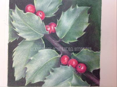 Holly Study CP e-Packet